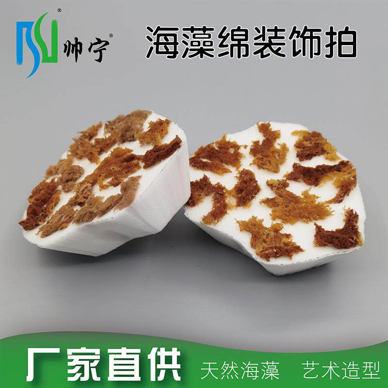 帅宁三色珠光金属漆点拍点彩艺术涂料工具多边形天然海藻绵装饰拍