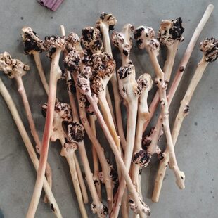 健身棍健身直木质行厂捶家山茶健身棍子子供木棍崖柏随