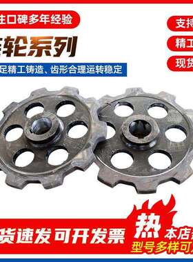 NE提升机链轮 NE15-NE300板链提升机链轮 40#钢30T40T输送机链轮