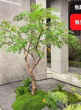 仿真绿植鸡爪槭假枫树造景橱窗商场茶室仿生植物装饰景观摆件套装