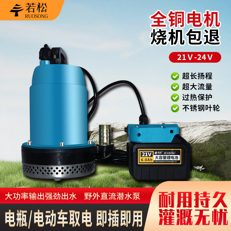 无线便携锂电专用抽水泵24V21V直流潜水泵家用农用浇菜灌溉水泵