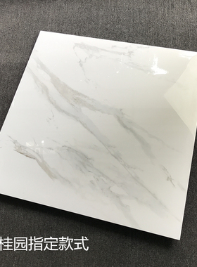 碧桂园800x800白色灰色客厅地砖瓷砖精装N房改造修补阳台客厅通铺