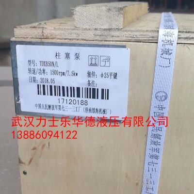 轴向柱塞泵TDXB16/20/25/32/40/50/63/80/100N 济南镇海机械厂