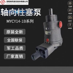 250Y310 8S泵146塞 L1CY1610 B40柱255邵阳维00 Y12 克M0