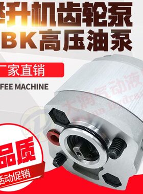 3.2 -F.6K 举升机油泵52P单86C1..42. 微型力8动齿轮泵元 L1B2.