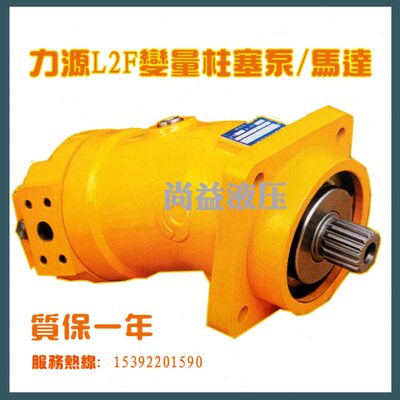 木马达/泵旋转 抓液压油L W/L23428原装3L S2Y-P/R马达力源贵州机