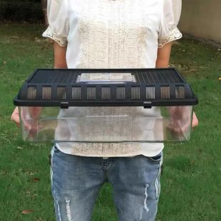 带盖子亚克力爬虫饲养盒爬宠乌龟角蛙螃蟹蜘蛛蛇宠物观察养殖龟盒