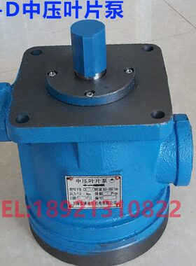 6D.10 Y12D3- B YB Y-B1625DD Y20叶片泵B-B--Y-DB中2BD3 YD-压 Y