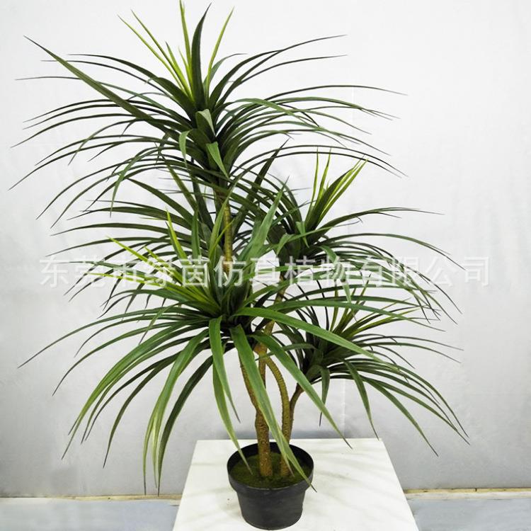 仿真细叶龙须草0.8米 灯芯草 水灯花/心 蔺草 灯草 野席草 马棕根