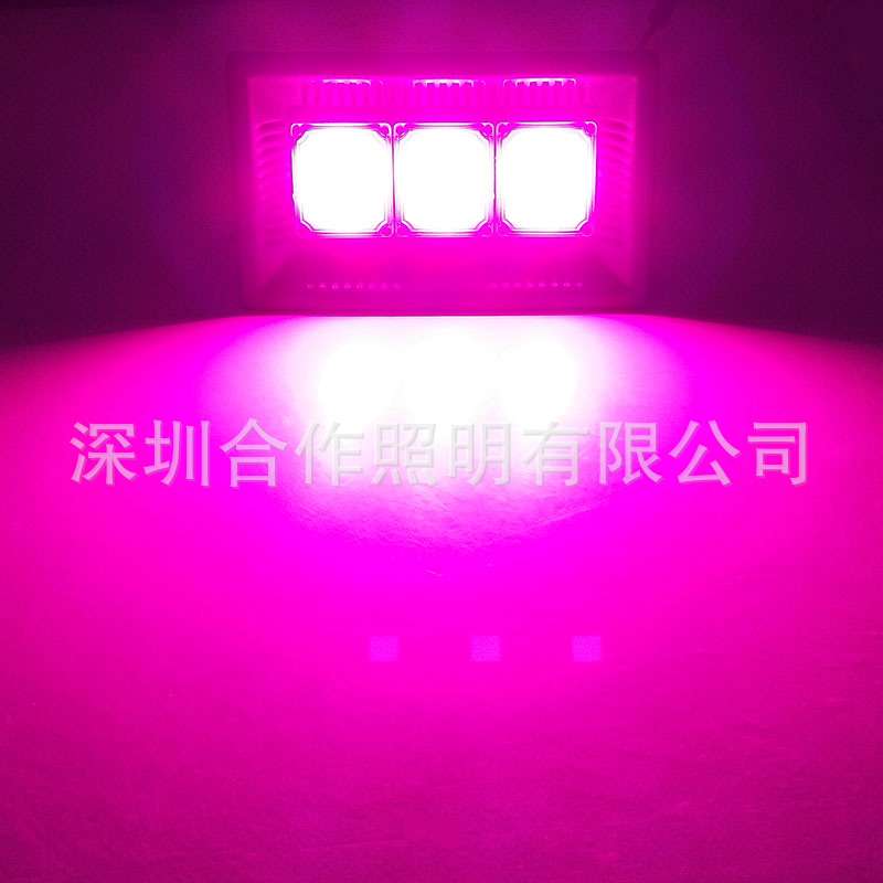 大功率迷你led植物灯 全光谱cob生长灯 30W50W花卉蔬菜大棚补光灯
