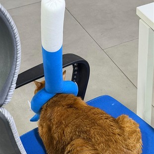 小猫咪讨伐棒毛绒猫叉狗狗驯服棒比熊制裁棒自嗨解闷玩具逗猫神器