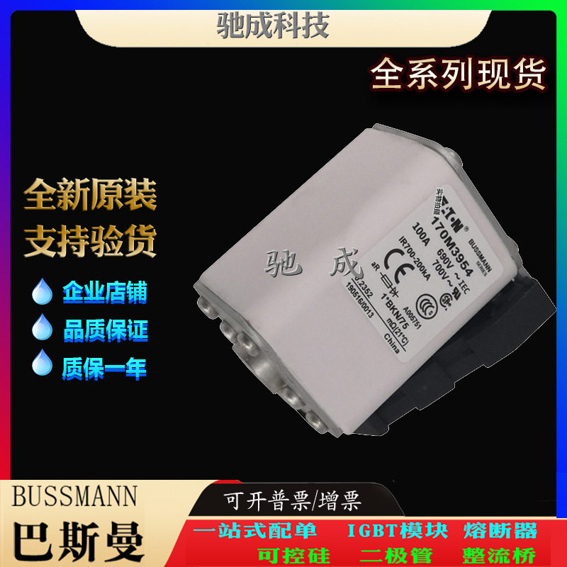 巴斯曼170M3981170M3982170M3983原装进口零售批发低压保险丝
