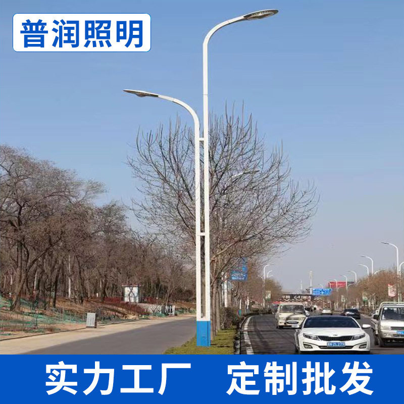 LED市电路灯户外防水市政道路照明高杆灯新农村单双臂路灯杆批发