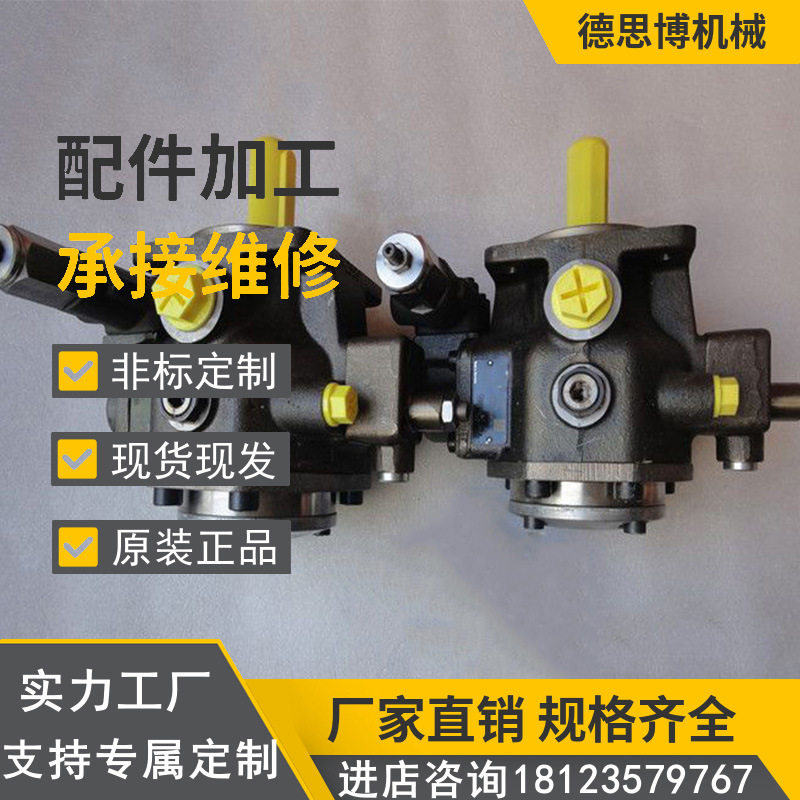 进口叶片泵PVV2-1X/040RJ15DMBK02船舶工程机械油泵维修配件泵芯