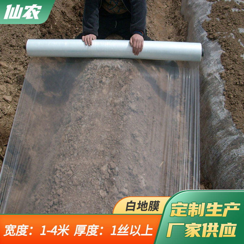 加厚白色农用地膜保温保水除草