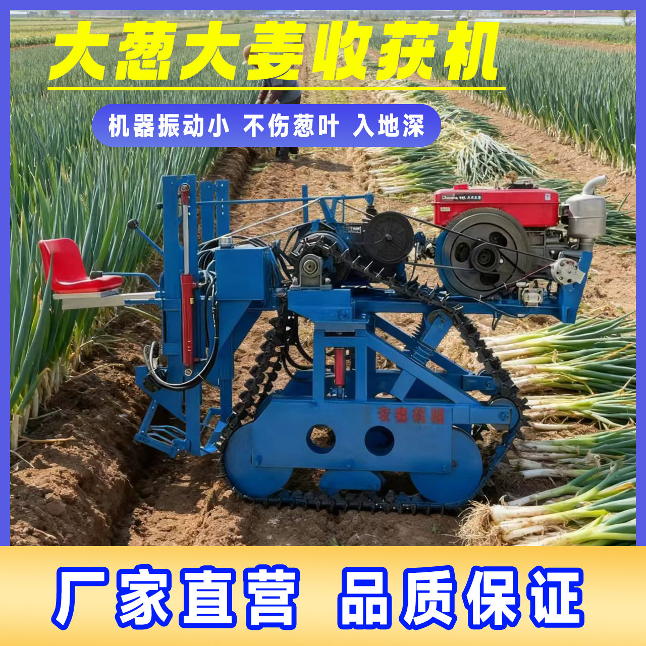 乘坐式大葱收获机震动式出葱机35马力起大葱机器履带式大葱收获机