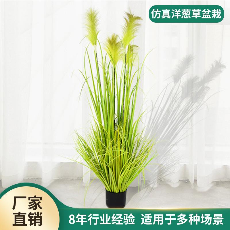 仿真洋葱草芦苇草婚庆道具室内装饰假花盆栽植物落地绿色塑料草