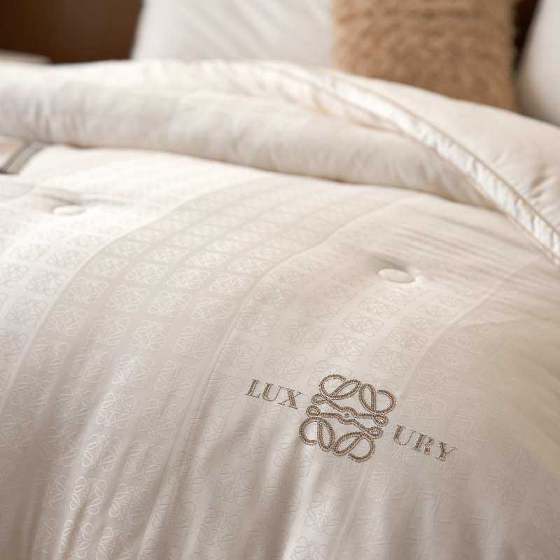 A类提花蚕丝大豆被子桑蚕丝纤维被春秋被冬被二合一轻柔