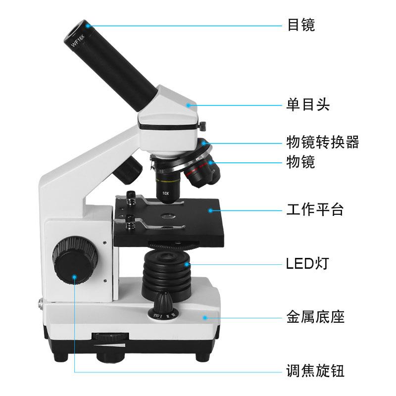 XSP-42生物显微镜640倍高倍专业光学儿童学生便携式科学实验现货