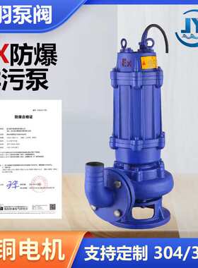 BQW150-130-30-22潜水排污泵 WQB国标EX加油站煤矿防爆潜污泵