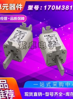 170M3814 170M3815 170M3816 170M3817 170M3818 170M3819熔断器