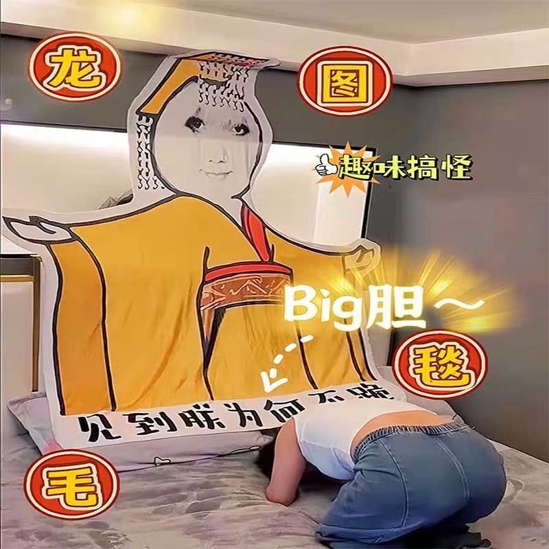 大胆龙图毯子午睡毯搞怪见朕为何不跪皇帝皇上搞笑龙X袍表情包午
