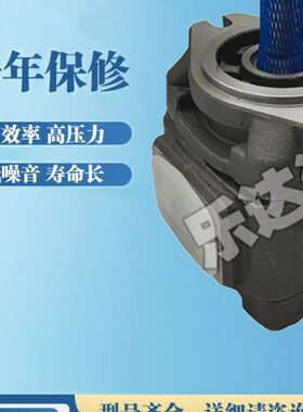 20克/HG0/20PC50/3K8/T01内-/116V6512齿轮泵啮合/-/H/-YR40E特海