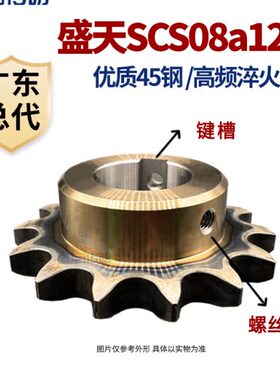 8加工 耐磨损 申0B链轮动马40 高精度钢成品传 2S盛A145天号SC 齿