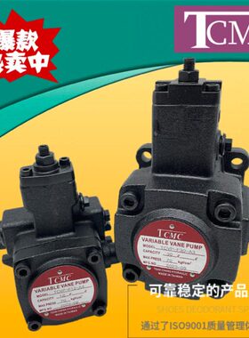 FCM FA32-0-F15P12C30 VF4-/油泵 F/量8T盛菖变0A1 -20TCA2 F0A4