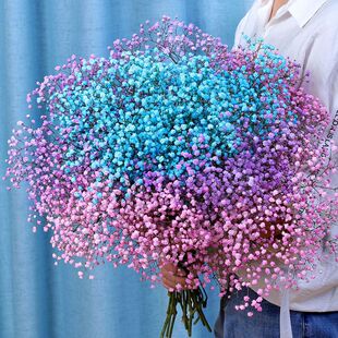 两斤装满天星干花花束家居餐桌摆设天然风干真花客厅装饰摆件