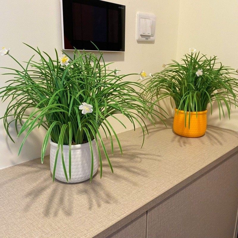 卧室绿植漂亮装饰小盆栽清新家居仿真花桌面摆件酒柜北欧风,鲜花速递/花卉仿真/绿植园艺,绿植,淘宝优惠券,粉丝福利购,淘宝优惠卷