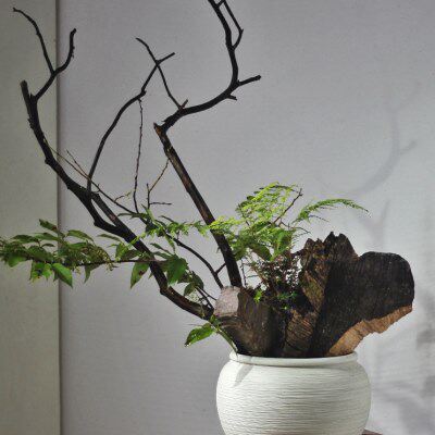 简约侘寂插干花新款陶瓷花瓶摆件客厅客厅罐装饰白色粗陶水培盆米