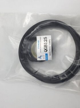 B密封圈Q8包 10维修S20PS00//Q0/Q//- 3GZ5001612气缸BGAG/G6Q5