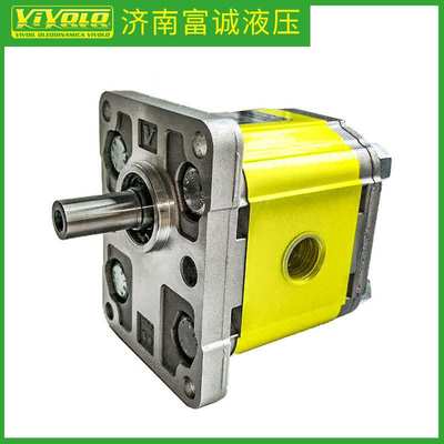 意大利VIVOIL/VIVOLO原装X2R5322CZZF内泄原厂直供高压双向齿轮泵