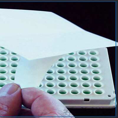 EZcap通用封膜条 1X8透明聚丙烯 用于密封96孔板ELISA孔板的单8排