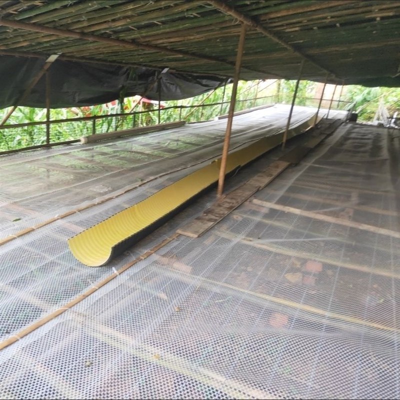 超厚款鸡鸭鹅养殖漏粪网阳台防护网羊I床漏粪垫塑料网格养殖围栏