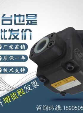 738凯嘉变65/18/26-DVQ量/25//叶片泵RA43560-F-A/75/22/4/2/32