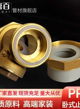 体50止回阀3烫流阀2寸铜6分单向阀热阀灰色3264分逆PPR40熔焊接接