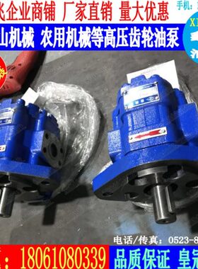 BRRRF/-30R-C30805/B6齿轮油泵1/-312BYF3100150/1T2/30-30340F