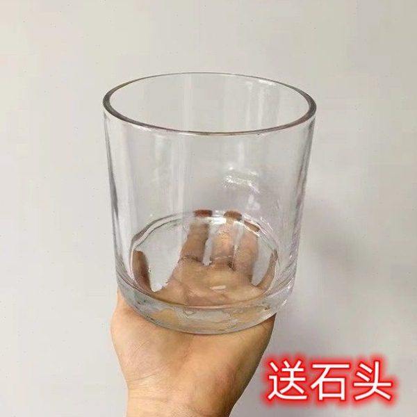 简约水培玻璃花盆圆形正方形透明郁金香种球摆件水养植物器皿花瓶,鲜花速递/花卉仿真/绿植园艺,花瓶,淘宝优惠券,粉丝福利购,淘宝优惠卷