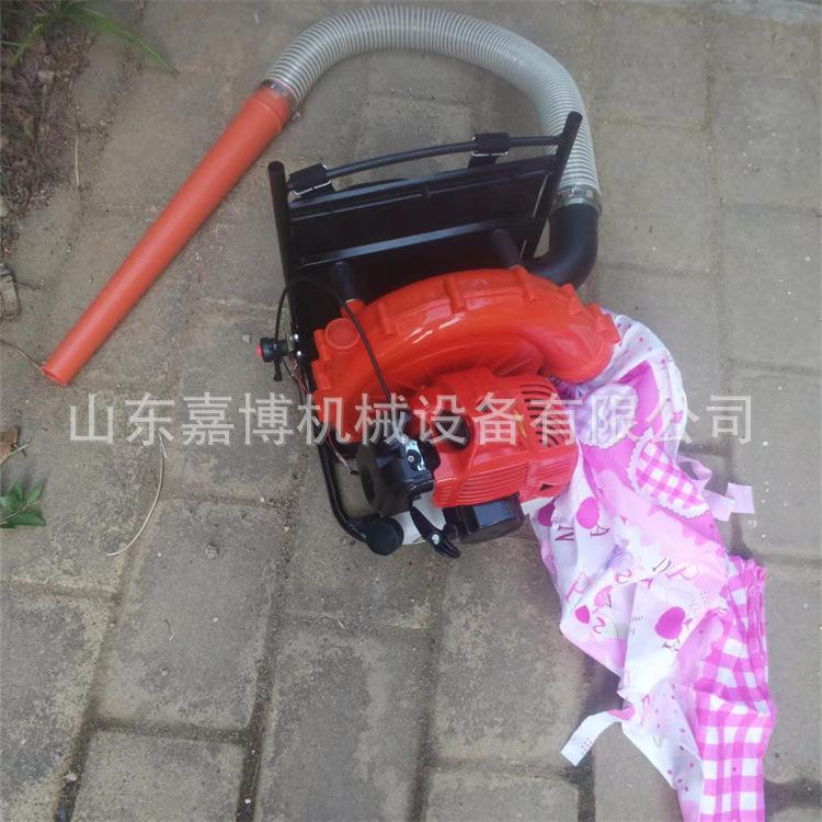背负式汽油采棉机 不累腰棉花采摘机 湖北农忙用棉花收获机械