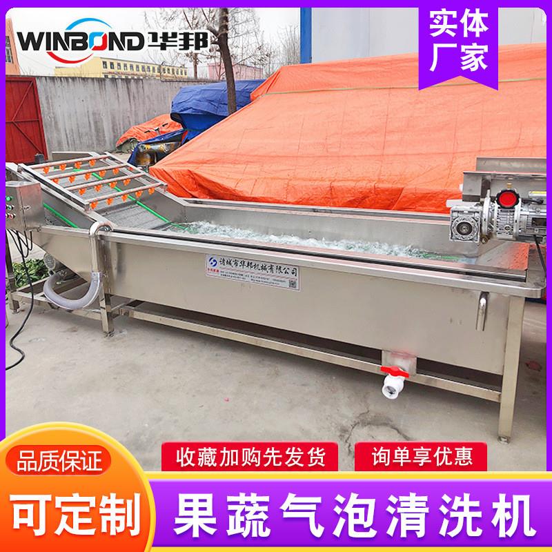 气泡清洗机 多功能果蔬净菜清洗机 臭氧樱桃清洗流水线 洗菜机