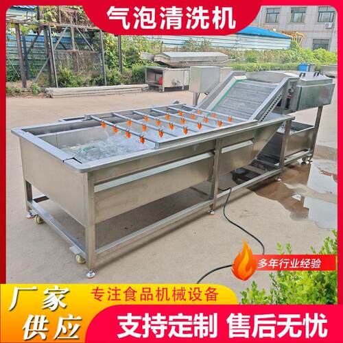 商用果蔬喷淋气泡清洗机芝麻菜气泡清洗机设备竹笋清洗风干流水线