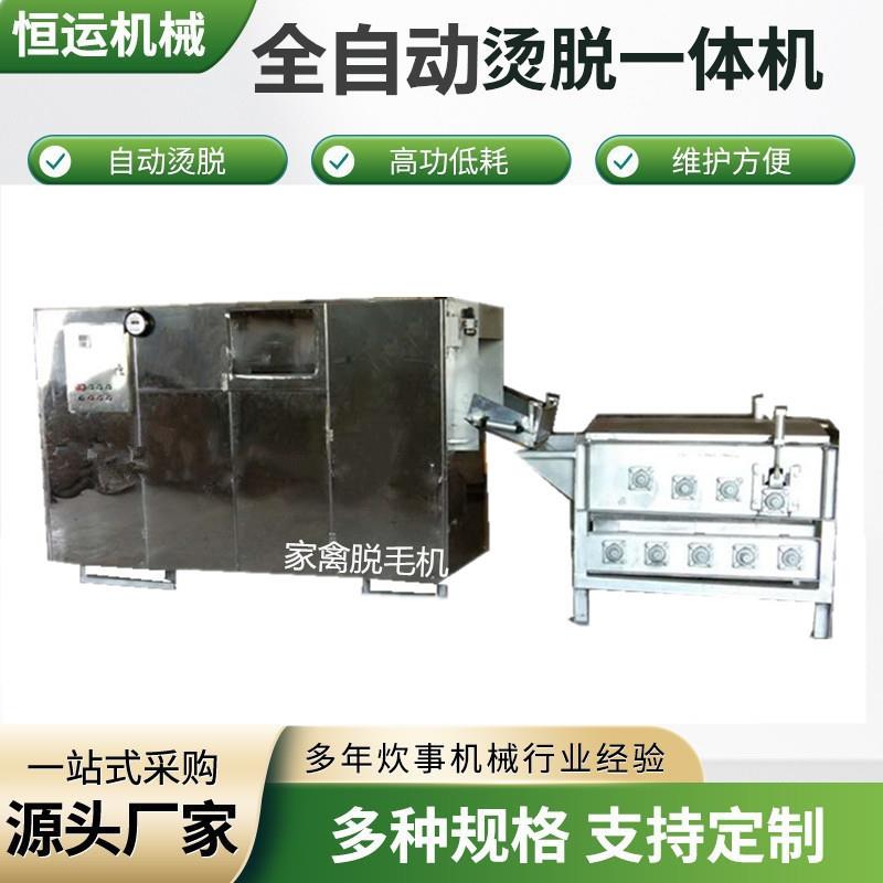 脱毛机鸽子鹌鹑家禽屠宰流水线商用鸡鸭鹅大型烫脱一体机高效商用