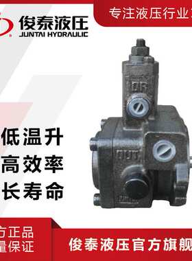 现货 俊菱牌 低噪音 变量叶片泵 VP20-FA3 液压油泵 小型液压泵