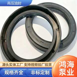 耐高温高压液压支架齿轮泵密封圈油泵密封机械骨架油封机械密封件