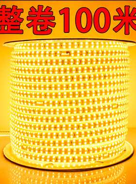 led灯带220V2835三排KTV商场室内外防水超亮照明灯带蓝色绿色红色