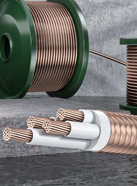 BTTZ 绝缘阻燃电缆 矿物质电缆 市府工程项目电缆 输电工程电缆