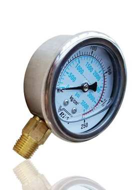 供油润YRUN不锈钢压力表径向立装304注油液压YN63 250KG 3500PSI