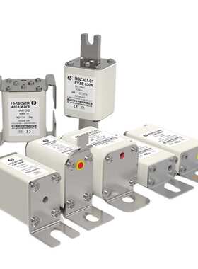 RS306-00-NGC 40A 50A 63A 80A 100A 125A 160A西安中熔熔断器